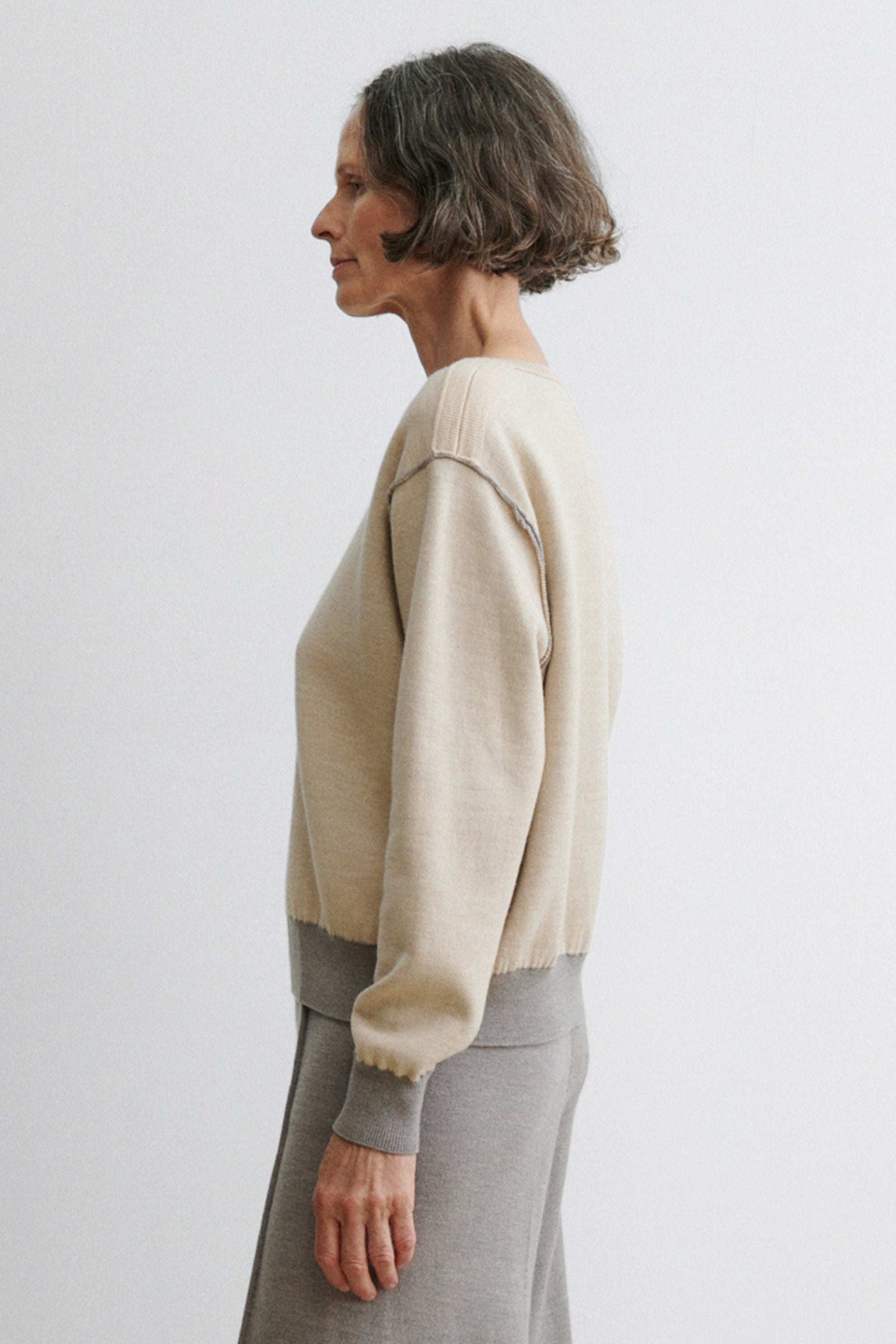 Dobrich Pullover - Rachel Comey