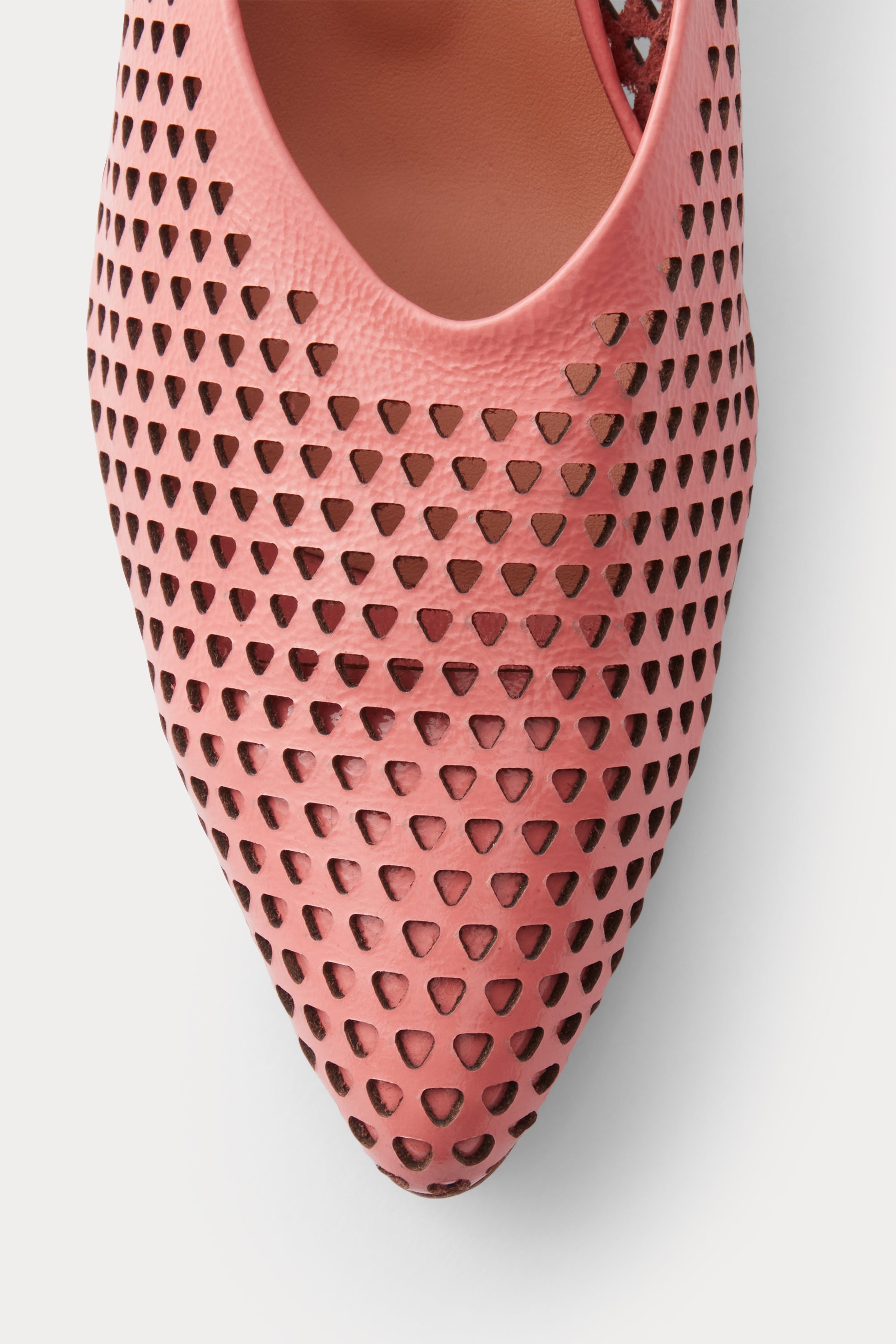 Clemmie Kitten S-Punch - Rachel Comey